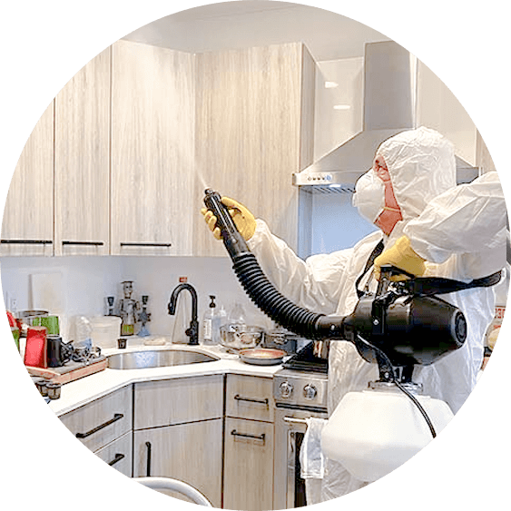 hoboken house cleaning service